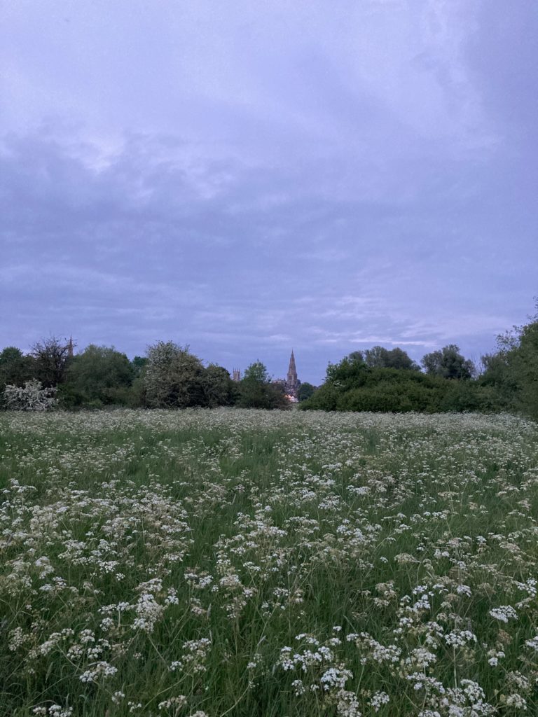 Benchmarks of good Psychotherapy